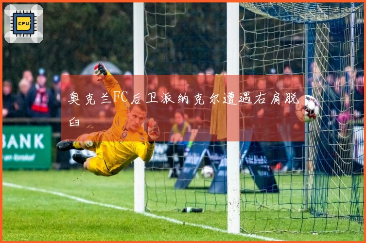 奥克兰FC后卫派纳克尔遭遇右肩脱臼